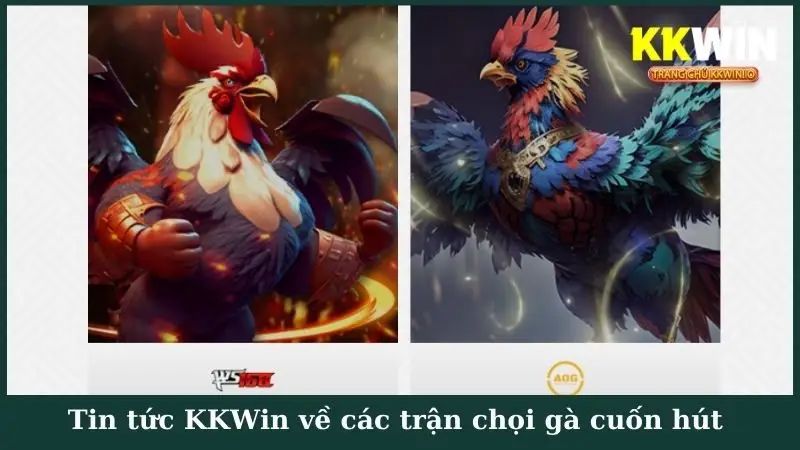Tin tức KKWin về các trận chọi gà cuốn hút 